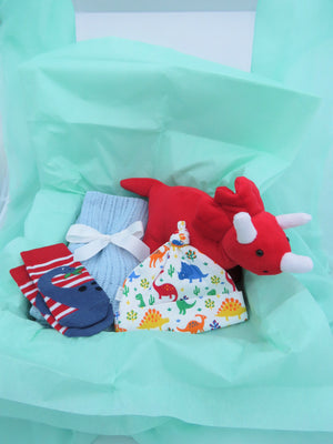 Dinosaur baby shower gifts on sale